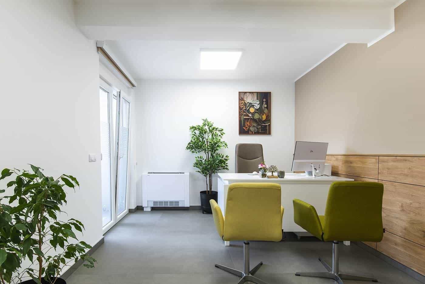 A bright modern office with a desk, chairs and plants