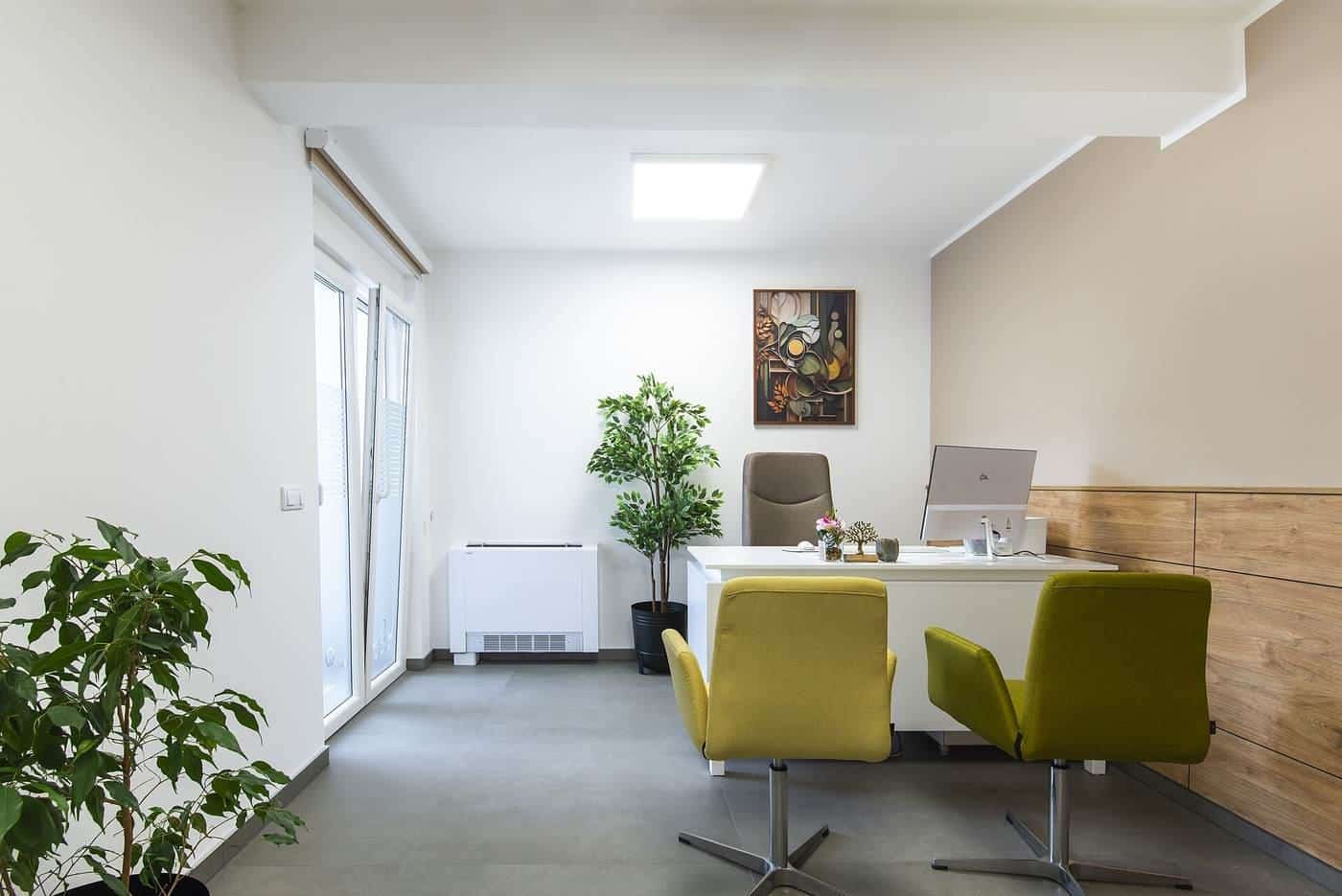A bright modern office with a desk, chairs and plants